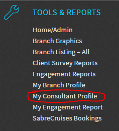 My Consultant Profile