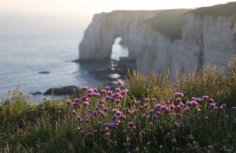 Normandy, France