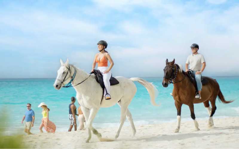 cab-horseback-riding