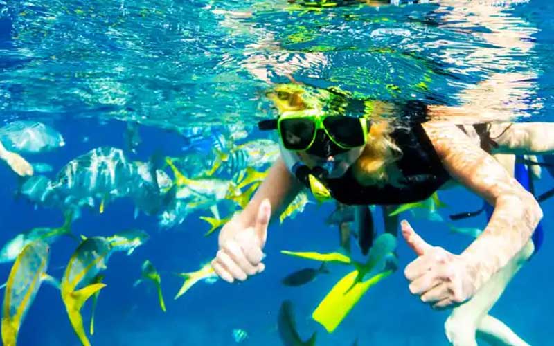 ttropical-snorkeling-adventure