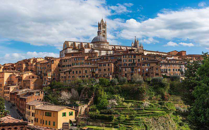 TCL Tuscany