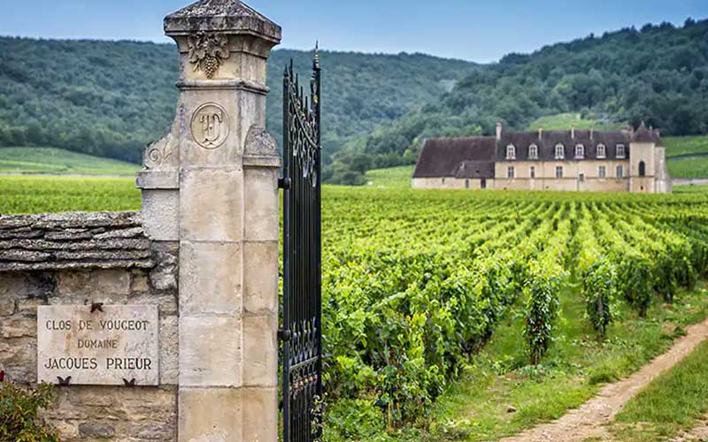france-river-cruise-vineyard